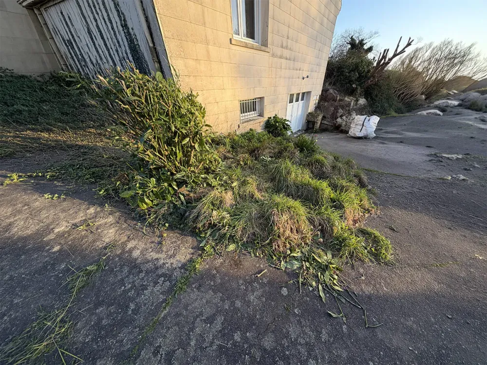 Aménagement entrée de garage avant (0420)